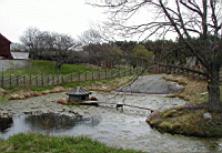 P5040085.jpg